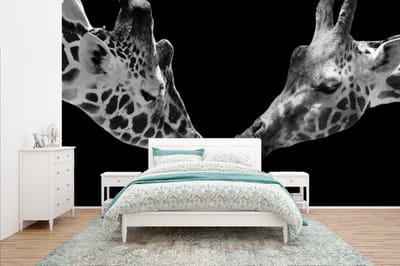 Behang - Fotobehang Dieren - Zwart - giraffe - Wit - Portret - Breedte 435 cm x hoogte 260 cm