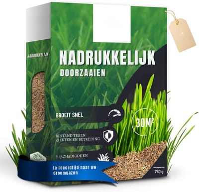 QIN® Graszaad - Graszaad Herstel - Graszaad Schaduw - Graszaad Speelgazon - Groen - 21cm x 16cm x 4cm