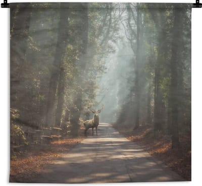 Wandkleed - Wanddoek - Hert - Bos - Zonnestralen - 150x150 cm - Wandtapijt