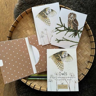 Alex Clark Notecards & Envelopes ~ Kaartenbox Uilen 'Owls'