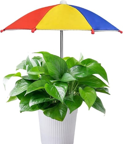 Plantenparasol Buiten - Zonwering Afdekking - Bescherming Planten - UV Beschermend - 35 x 27 cm - Zoals Afgebeeld