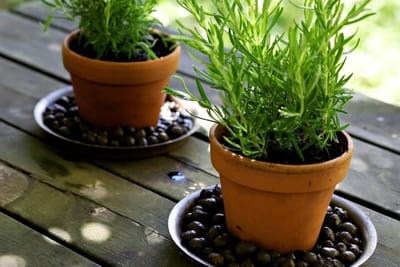 Geëxpandeerde klei - Drainage korrels - Planten verzorgen - Herbruikbaar materiaal - 18 liter - Bruin