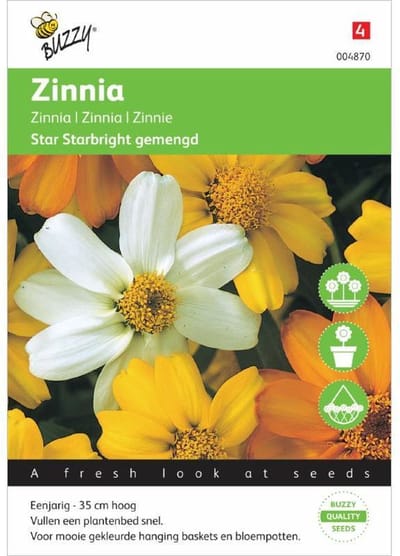 Buzzy® Zinnia angust Star Starbright mixed