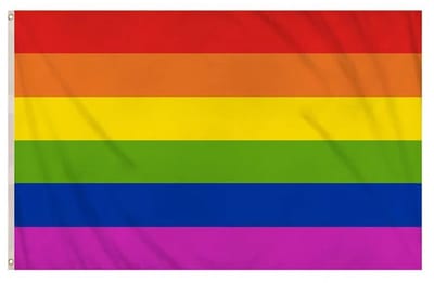 Regenboog vlag - 150cm Bij 90cm - Met Ringen - Pride - Rainbow - Pride flag - LGBTQ - Pride Flag - Rainbow Flag