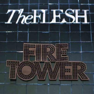 The Flesh - Firetower (CD)