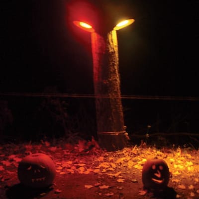 Wicked King Wicker - Flydust (LP)