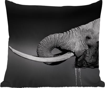 Tuinkussen - Olifant - Water - Dieren - Zwart - Wit - 40x40 cm - Weerbestendig