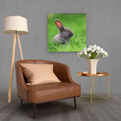 Artaza Canvas Schilderij Konijn - 60x60 cm - Wanddecoratie Dieren - Muurdecoratie Woonkamer - Kamer Accessoires Baby Konijn