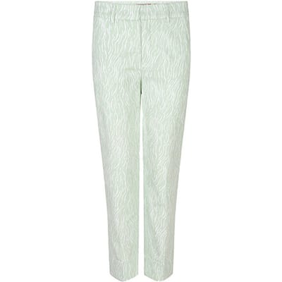Esqualo broek SP24-17001 - Pistache