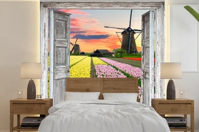 Behang - Fotobehang Doorkijk - Tulpen - Molen - Avond - Breedte 220 cm x hoogte 220 cm