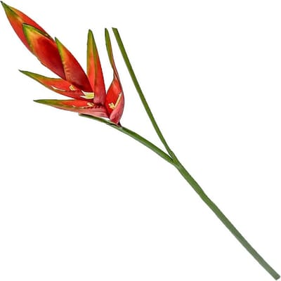 HomeBound by KY | Kunstbloem Heliconia rood | kunstbloem