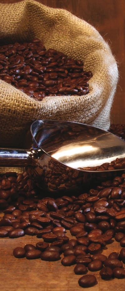 Deursticker Muursticker Koffiebonen | Bruin | 91x211cm