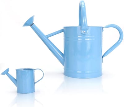 Metalen Gieter Set voor Volwassenen en Kinderen - Duurzame Waterkan voor Binnen en Buiten
