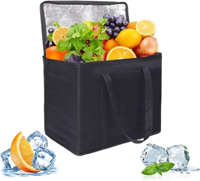Vouwbare Koeltas voor Picknick en Lunch, Thermische Tas met Isolatie, 33 x 25 x 25 cm, Ideaal voor Buitenshuis