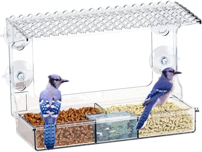Kleine vogelvoederbak - met twee voerbakjes en een waterbakje - transparant vogelhuisje - afmetingen 24,5 x 10 x 17 cm (L x B x H) - uitneembaar dienblad - geschikt om wilde vogels te observeren