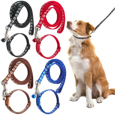 Dailygoods - 4-Set Puppy Halsbanden met Riem - Verstelbare Nylon Halsbanden voor Honden en Katten