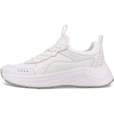 Lage Sneakers Salamander -