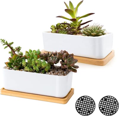 Omgoods - Wit Keramische Succulent Potten Set van 2 - Kleine Cactus Containers met Afvoergaatje en Bamboe Schaal