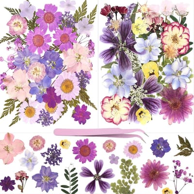 Allecto Plus - Gedroogde Bloemen en Geperste Bloesems - Natuurlijke Decoratie - Zilveren Pincet - Knutselen - Kunstprojecten - Scrapbooking