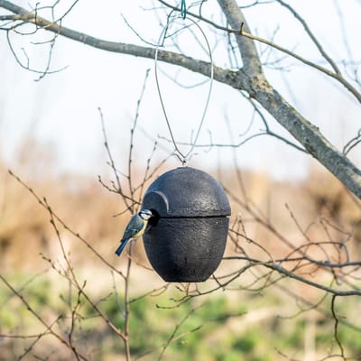CJ Wildlife Nestkast - Aanbevolen door de Vogelbescherming Nederland - Malaga - 32mm - Nestkastje voor o.a. Koolmees, Boomklevers & Mussen - Woodstone Vogelhuisje - FSC-gecertificeerd - Zwart
