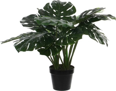 Mica Decorations Kunstplant - Monstera gatenplant - groen - 60 cm - Kunstplanten/nepplanten