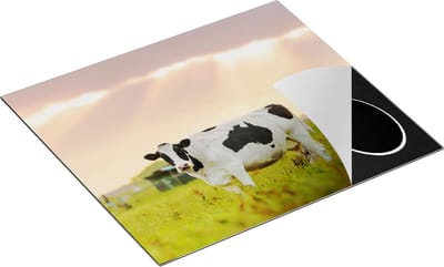 Chefcare Inductie Beschermer Zwart Wit Koe in de Wei bij Zonsopkomst - 60x50 cm - Afdekplaat Inductie - Kookplaat Beschermer - Inductie Mat