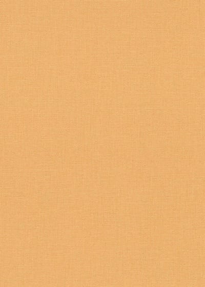 Erismann Vinylbehang 10450-04 - Coulours & Textures - Oranje - 53cm x 10.05m