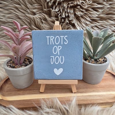 Robuust Wenstegeltje “Trots op Jou” – Lief Cadeautegeltje met Hartje – Trendy nu – Geslaagd – Vriend(in) – Familie – Gezin – Zomaar – Cadeau – Geslaagd – Decoratief Tegeltje met Standaard – Cadeau Idee