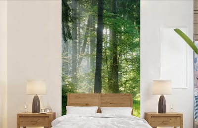 Behang - Fotobehang Natuur - Bomen - Bos - Groen - Zon - Gras - Planten - Breedte 120 cm x hoogte 240 cm