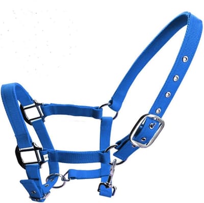 Halsband voor Paarden met Dubbele Laag en Dikke Webbing in 3 Kleuren en Maten met Fleece Voering