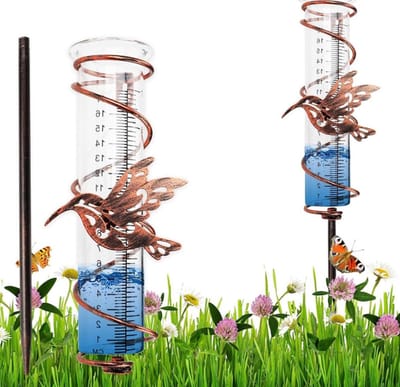 Regenmeter van glas - 45 cm - grondpen - dubbele regenbuis - buiten - neerslagbewaking - tuin - gazon (kolibrie)