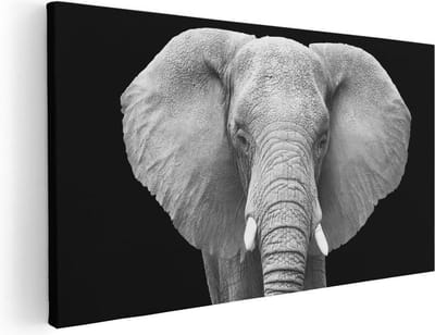 Artaza Canvas Schilderij Olifant - 40x20 cm - Klein - Wanddecoratie Dieren - Muurdecoratie Afrika - Schilderijen Op Canvas Zwart Wit