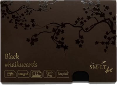 SMLT schilderpapier Haiku kaarten A5 zwart 300gr 12 vellen.