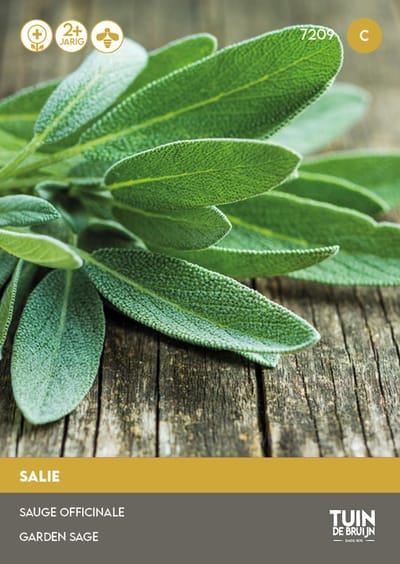Tuin de Bruijn® zaden - Salie - Keukensalie - meerjarig - ca. 65 zaden