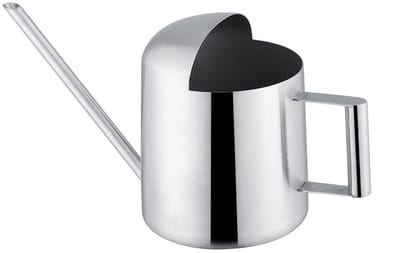 Dailygoody - Roestvrijstalen Gieter - 300ml - Ergonomisch Design - Buiten en Binnen Gebruik - Ideaal voor Bonsai - Lange Schenktuit - Modern