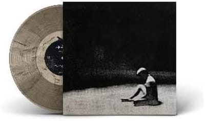 Vinylplaat - Muziekdrager - Muziek Luisteren - Originele Persing - 32 cm - Transparant