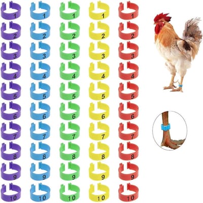 50 stuks kippenbeenbanden - nummercodering - identificatie - veelkleurige clip-on ringen - tags voor benen - ronde tagclips voor kuiken - eend - duif - gans - dierenidentificatie - veelkleurige tags