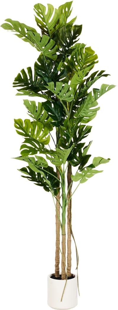MONSTERA PLANT - Kunstplant - Groen - 221 cm - Synthetisch