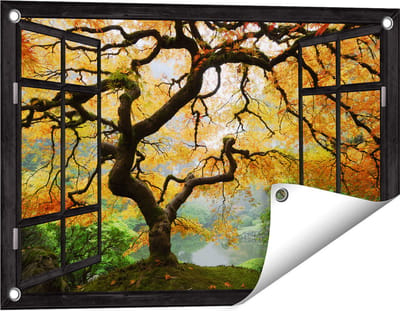 Gards Tuinposter Doorkijk Oude Knoestige Boom - 60x40 cm - Tuindoek - Tuindecoratie - Wanddecoratie buiten - Tuinschilderij