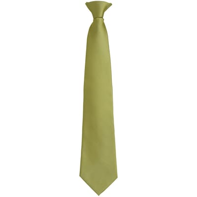 Premier Unisex volwassen kleuren modieuze effen Clip-On stropdas (Grasgroen)