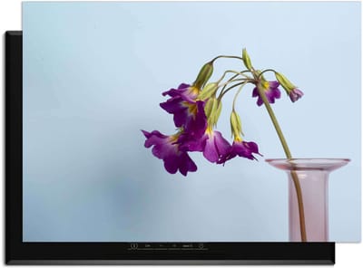 KitchenArt - Delicate Drop - Inductie Beschermer - 83x51.5 cm - Kookplaat Beschermer - Luxe Afdekplaat Inductieplaat - Anti-slip & Oprolbaar - Beschermmat Inductiekookplaat