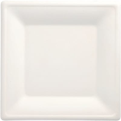 1x 100 Borden van suikerriet pure hoekig 26 cm x 26 cm wit