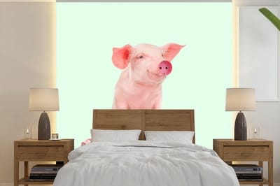 Fotobehang - Muurdecoratie - Varken - Roze - Stopcontact - Dieren - 240x240 cm - Behang - Fotobehang dieren