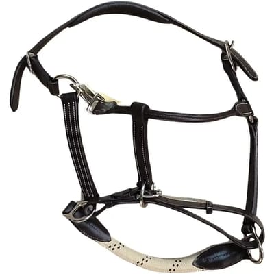 Lederen paardenhalster met touw Canter