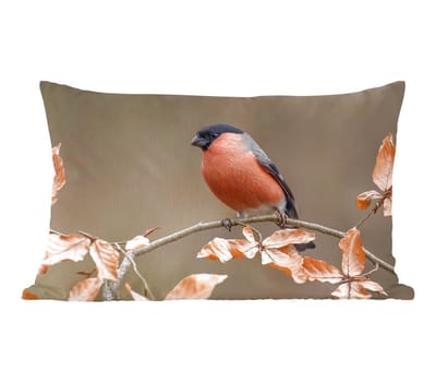 Sierkussens - Kussentjes Woonkamer - 60x40 cm - Vogel - Bladeren - Herfst - Goudvink -