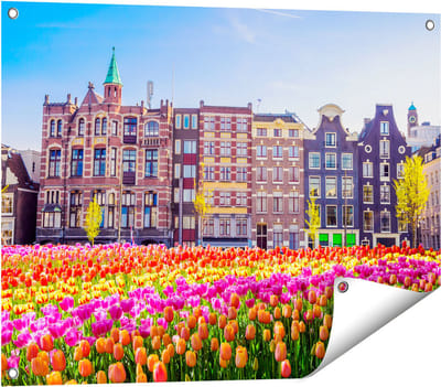 Gards Tuinposter Amsterdamse Huisjes met Tulpen - Kleur - 80x60 cm - Tuindoek - Tuindecoratie - Wanddecoratie buiten - Tuinschilderij