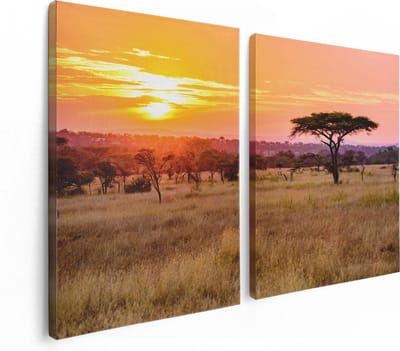Artaza Canvas Schilderij Tweeluik Zonsondergang In De Savanne - 120x80 - Foto Op Canvas - Canvas Print