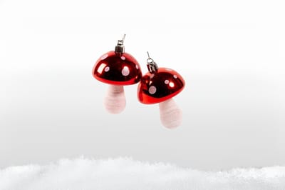 Decoratie · Paddenstoel kersthangers · 2 stuks