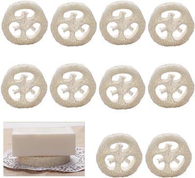 Famanu – Set van 10 natuurlijke luffa-sponzen, zeepkussens voor douche en keuken, hygiënisch, ideaal voor dagelijks gebruik