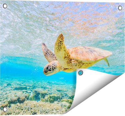Gards Tuinposter Schildpad Zwemt in de Zee bij het Rif - 50x40 cm - Tuindoek - Tuindecoratie - Wanddecoratie buiten - Tuinschilderij